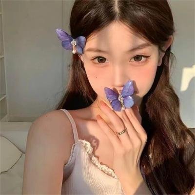 终极指令